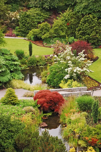 Weelderige botanische tuin — Stockfoto