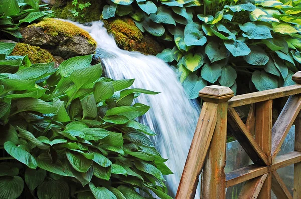 Водоспад в ботанічному саду — стокове фото