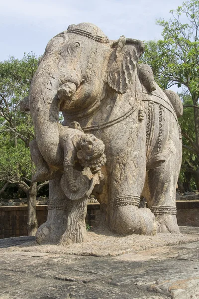 Słoń podnoszenia wojownik — Zdjęcie stockowe