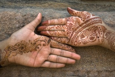 Mehandi Sanat Palm üzerinde