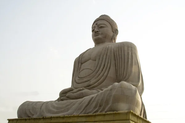 Сидящий Будда, Серена — стоковое фото