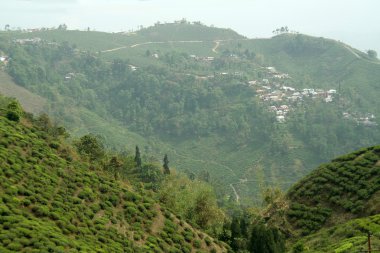 Dağ Town ve çay bahçesi