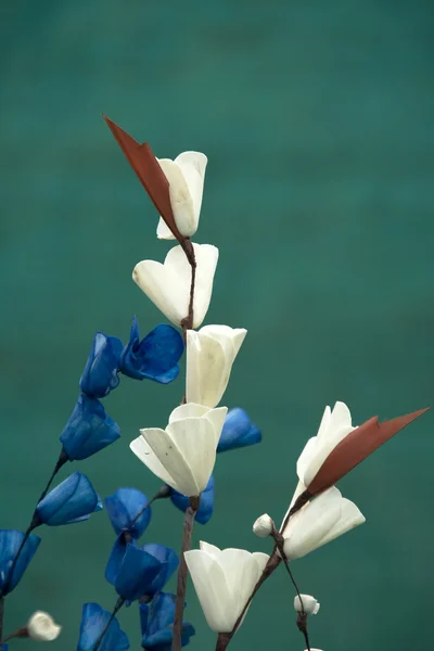 Перламутровый белый; сапфир синий — стоковое фото
