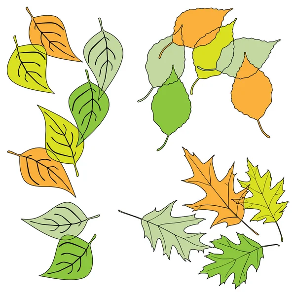 Leaf, collezione per designer — Vettoriale Stock