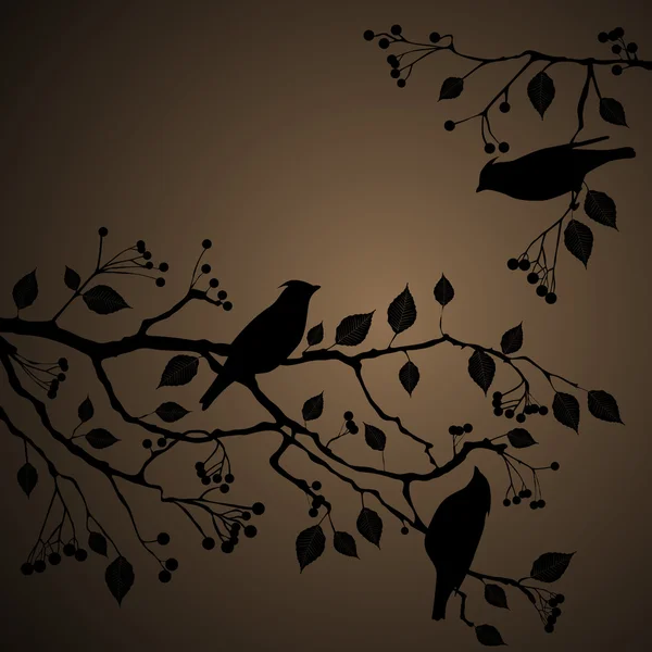 Floraler Hintergrund, Vögel — Stockvektor