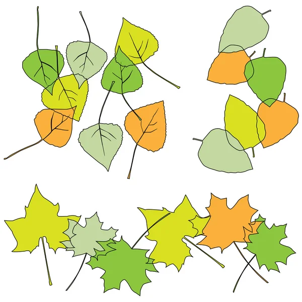 잎, 디자이너에 대 한 컬렉션 — 스톡 벡터