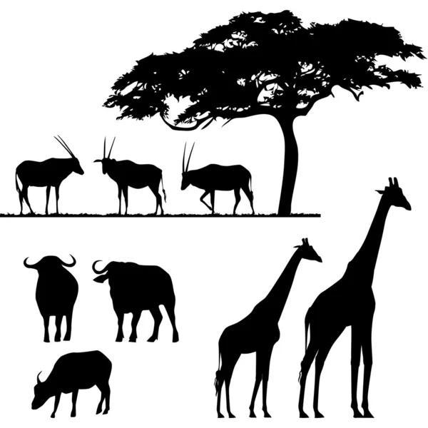 Afrikanska djur, vektor silhuetter — Stock vektor