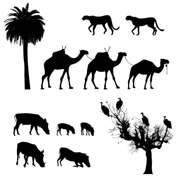 Afrikanische Tiere, Vektorsilhouetten — Stockvektor