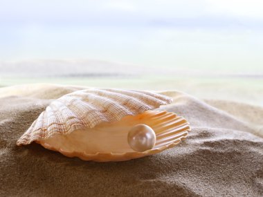 Shell with a pearl clipart