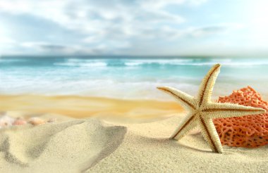 Картина, постер, плакат, фотообои "морская звезда на пляже пейзажи", артикул 5859789