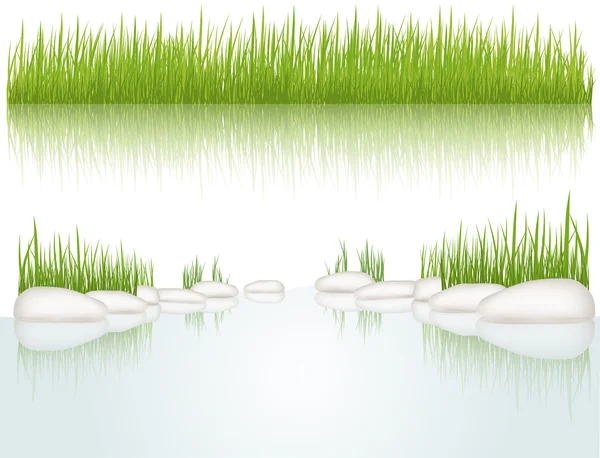 Grass. Vector illustration — Stock Vector