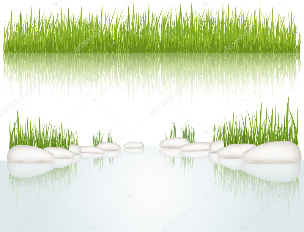 Grass. Vector illustration