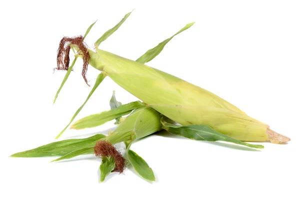 Kukurydza, dojrzałe i słodkie — Zdjęcie stockowe