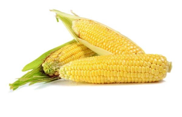 Kukurydza, dojrzałe i słodkie — Zdjęcie stockowe