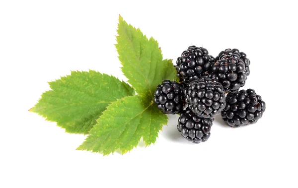 Ripe blackberry with green leaves — Stock Photo, Image
