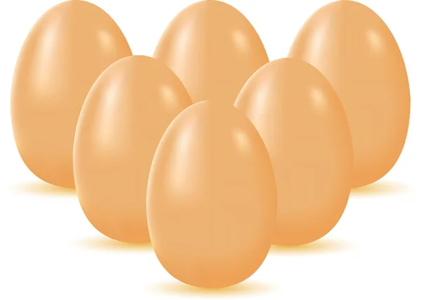 Egg vector illustration — Stock Vector
