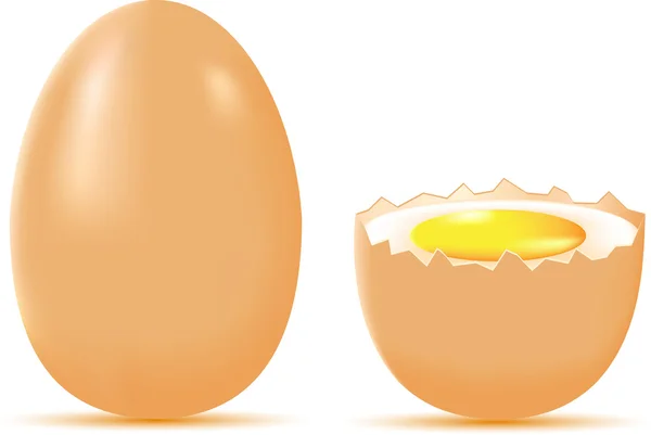 Illustration vectorielle des œufs — Image vectorielle