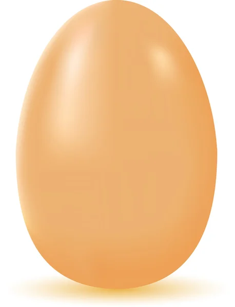 Εικονογράφηση φορέας αυγό — Διανυσματικό Αρχείο
