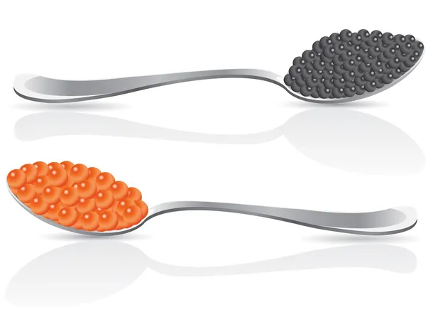 Caviar vermelho e preto na colher —  Vetores de Stock