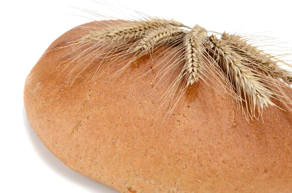 Stock image Bread from a wheat