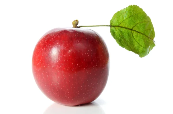 Красное яблоко с зелеными листьями — стоковое фото