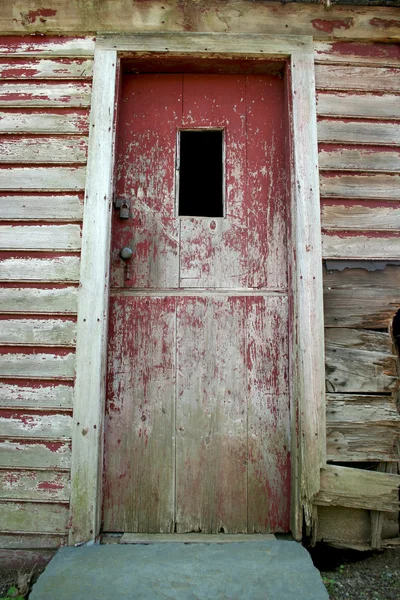 Stare drzwi wyblakły — Zdjęcie stockowe