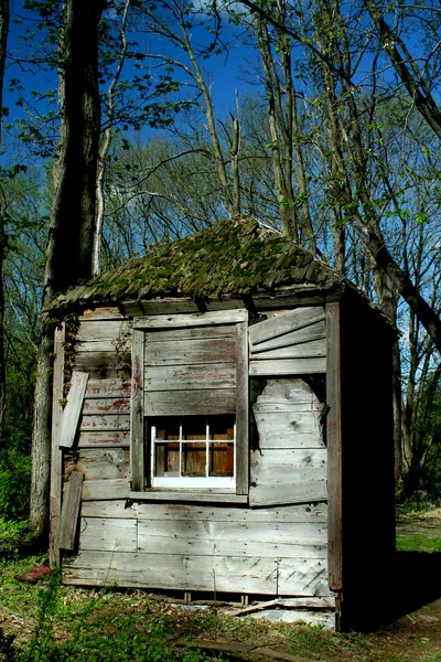 Velha cabana abandonada — Fotografia de Stock