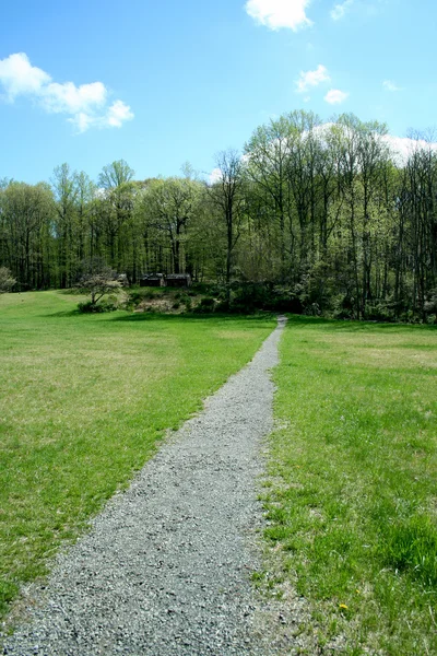 Caminho através de um campo verde — Fotografia de Stock