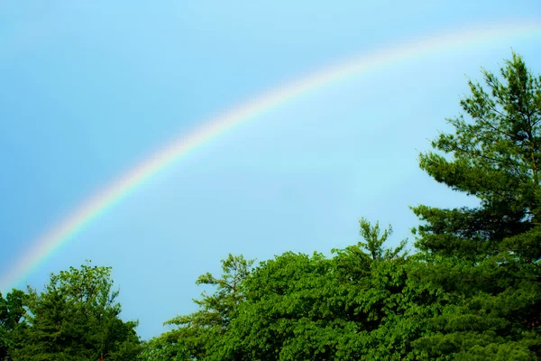Rainbow with blue skies and trees — Stock Photo, Image