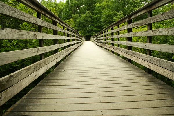 森の中の木製の橋 — ストック写真
