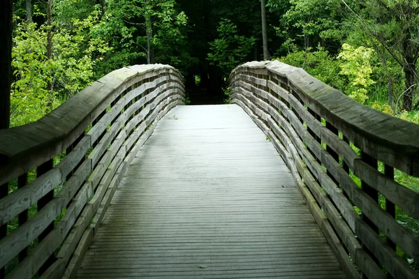 Ponte di legno attraverso la foresta — Foto Stock
