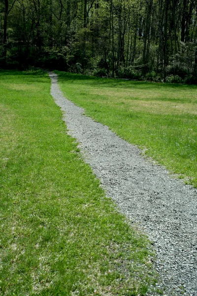 Path through a green field — Stock Photo, Image