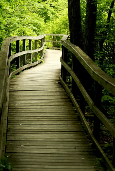 Houten brug door het bos — Stockfoto