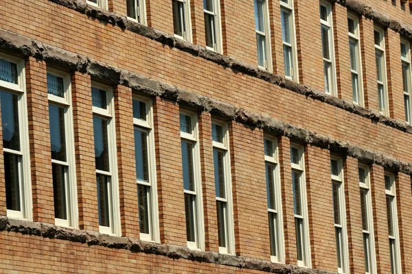 Linhas de janelas em um edifício — Fotografia de Stock