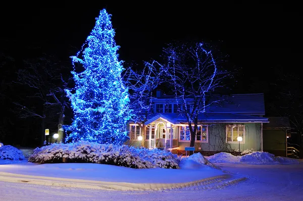 Beautifully decorated Christmas tree — Stock Photo, Image