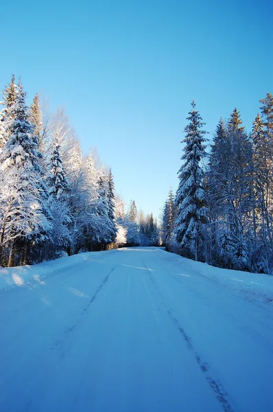 Ice-glazed road — Stock Photo, Image