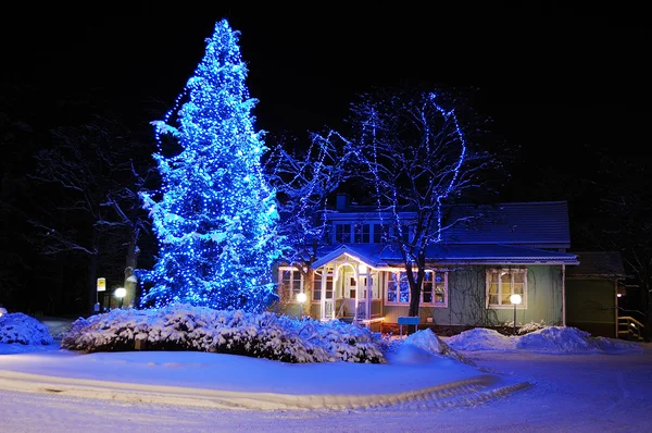 Gyönyörűen díszített karácsonyfa Jogdíjmentes Stock Képek