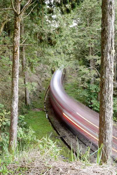 森林鉄道 — ストック写真