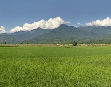 kırsal manzara