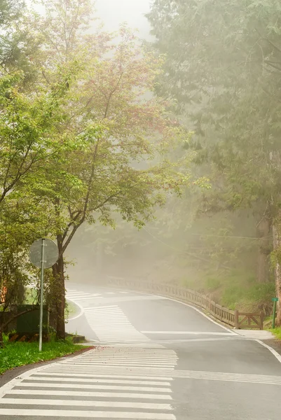 Mgła na drodze — Zdjęcie stockowe