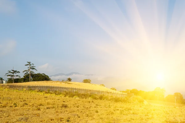 Sunrise landsbygdens landskap — Stockfoto
