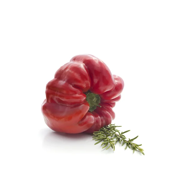 Sommargrönsaker på vitt: peppar och rosmarin — Stockfoto