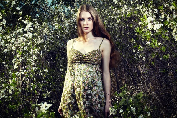 Retrato da mulher romântica em um jardim de verão — Fotografia de Stock