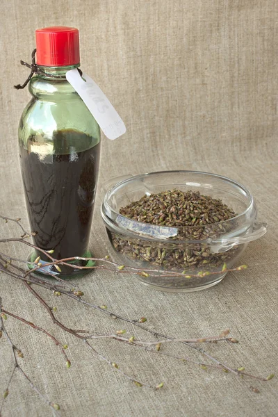 Birch buds and medicinal tincture made from them — Stock Photo, Image