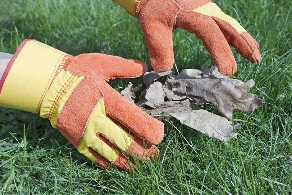 Arbeitshandschuhe werden zur Rasenpflege verwendet — Stockfoto