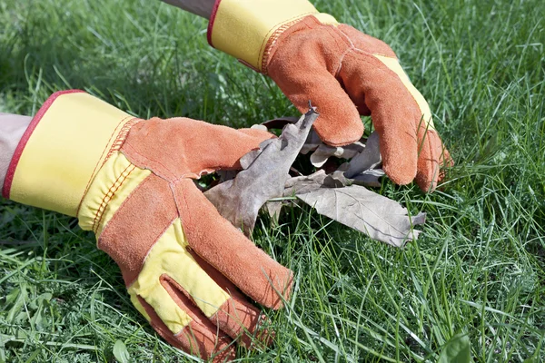 Pracovní rukavice jsou používány pro péči o trávník — Stock fotografie