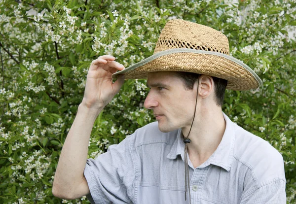 En ung man i en cherry trädgård — Stockfoto