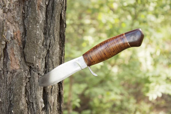 Old hunting knife — Stock Photo, Image