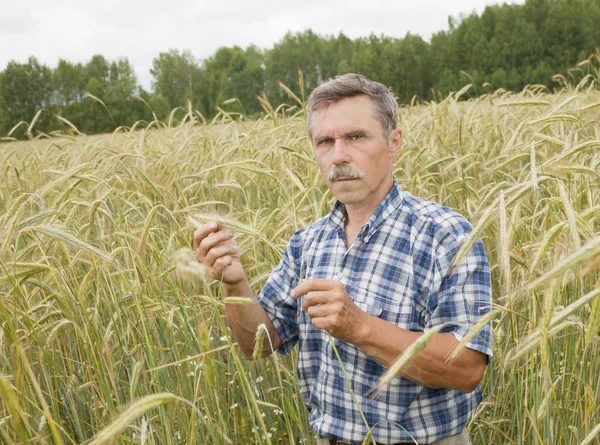 The farmer in the field — Stock Photo, Image
