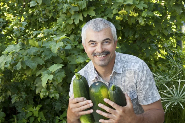 Satisfied man with three zucchin — Stock Photo, Image